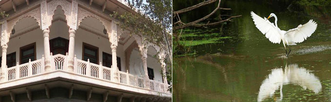 the birder inn bharatpur