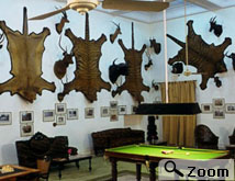 hotels of bikaner