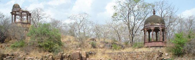 hotels in ranthambore