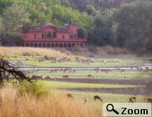 hotel tariff ranthambore