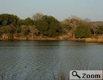 ranthambore accommodation
