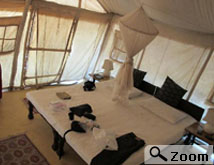 hotels of ranthambore