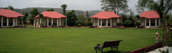 tiger den