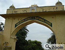 sariska wildilfe