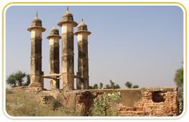 hotels in mandawa